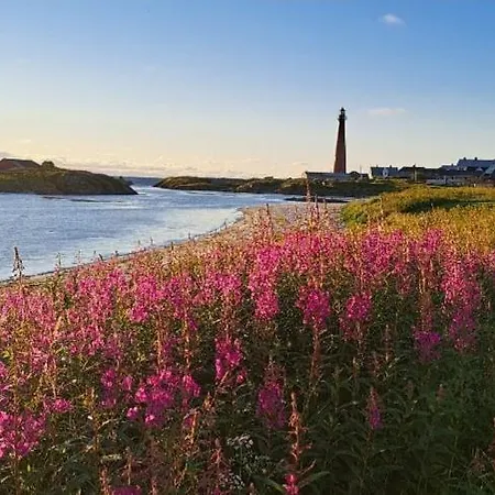 アパート Studioleilighet I Kjeller Ved Stranden Og Hvalsenter Nb Ma Vaskes Etter Endt Leie Eller Betale Rengjoringshjelpen 500 Kr アンデネス