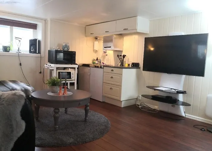 Studioleilighet I Kjeller Ved Stranden Og Hvalsenter Nb Ma Vaskes Etter Endt Leie Eller Betale Rengjoringshjelpen 500 Kr Анденес